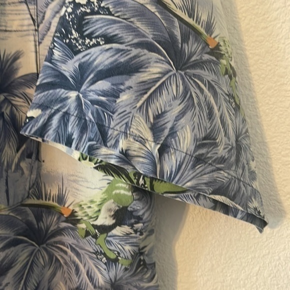 Red Turtle - Picture 5 of 9